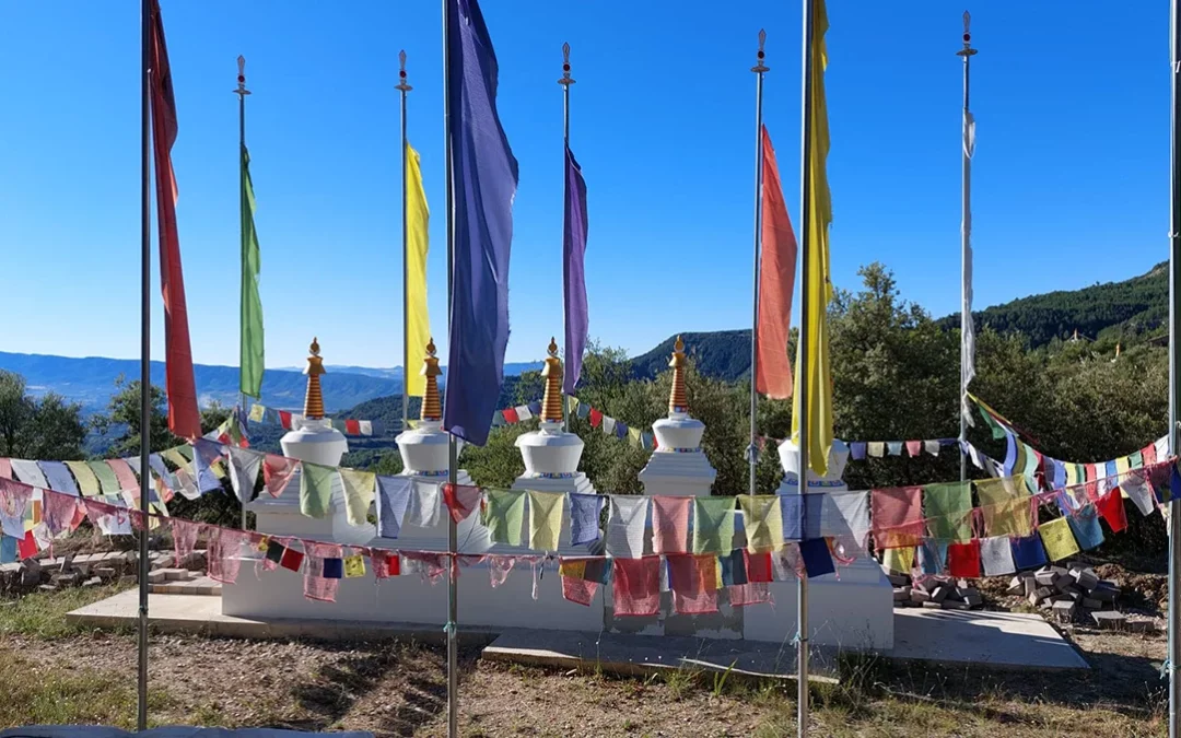 Retiro de cierre de nuestro curso “PRINCIPIOS DE LA PSICOLOGÍA BUDISTA PARA LA PSICOTERAPIA: INTEGRANDO LA ESPIRITUALIDAD”