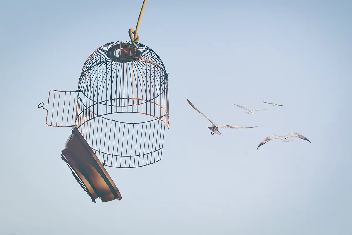Una reflexión sobre la importancia de saber dejar ir lo que lastra nuestro desarrollo personal. pájaros que escapan de una jaula rota
